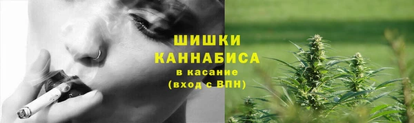 spice Снежногорск