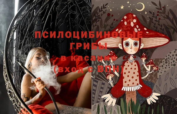 винт Слюдянка