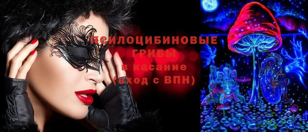 ешки Алексеевка