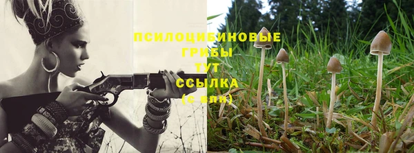 ешки Алзамай